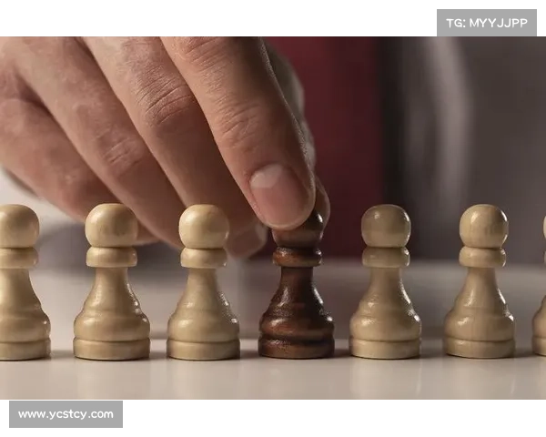 巴舒亚伊五大关键点解读：成功的秘诀与挑战分析